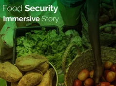 Global Food Security in 2026 — How Communities Adapt to Climate Challenges